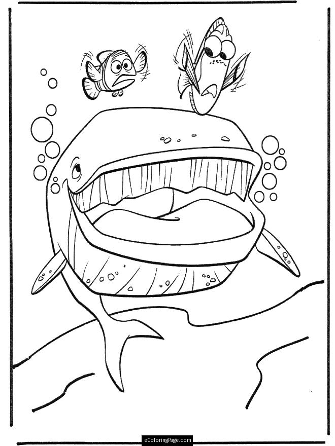 Plansa de colorat cu Finding Nemo 45 40